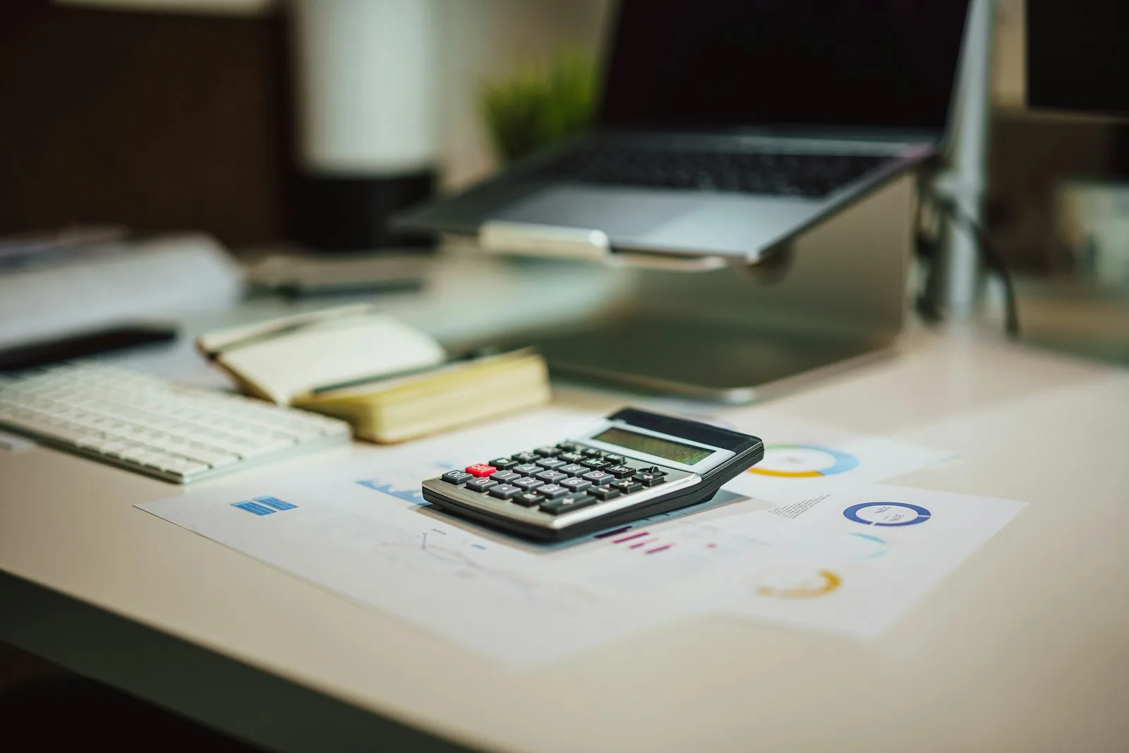 Business tax documents professional representation